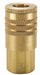 Quick Connect Socket 1/4 Body 3/8 -18