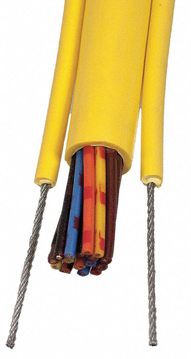 Pendant Cable 12 Cond 16 AWG SOOW 25ft