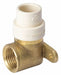 Elbow Brass FNPT 1/2 in FTG 1/2 in