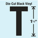 LetterLabel Vinyl 1-1/2inH 7/8inW PK10