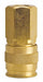 Socket Universal FPT Steel 1/4 
