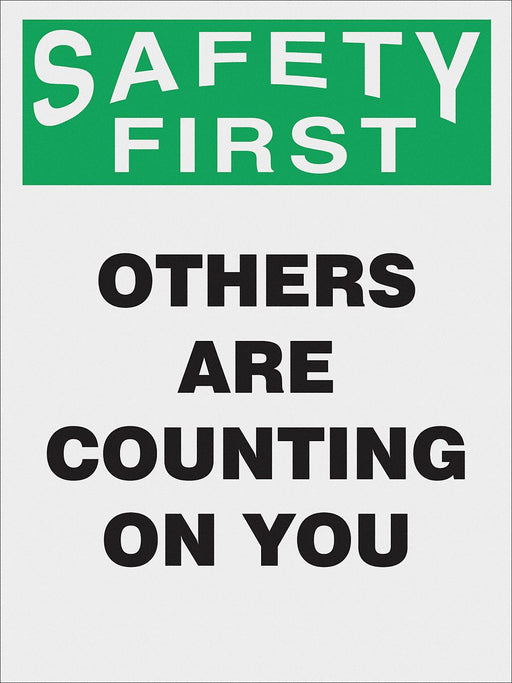 Poster 22 in x 17 in Plastic