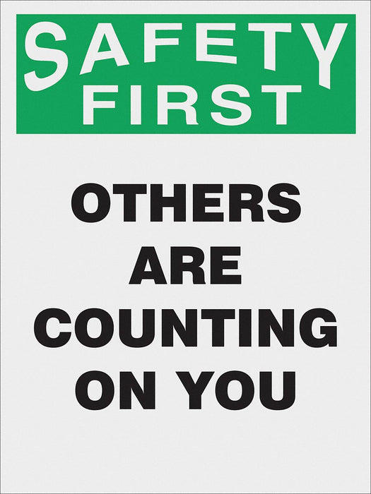 Poster 22 in x 17 in Plastic