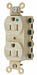 Receptacle Ivory 15 A 2P3W Back 1PK