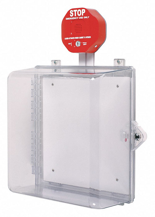 Protective Cabinet 16-1/4in. Key Lock