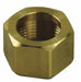 ATTC Plasma Nut