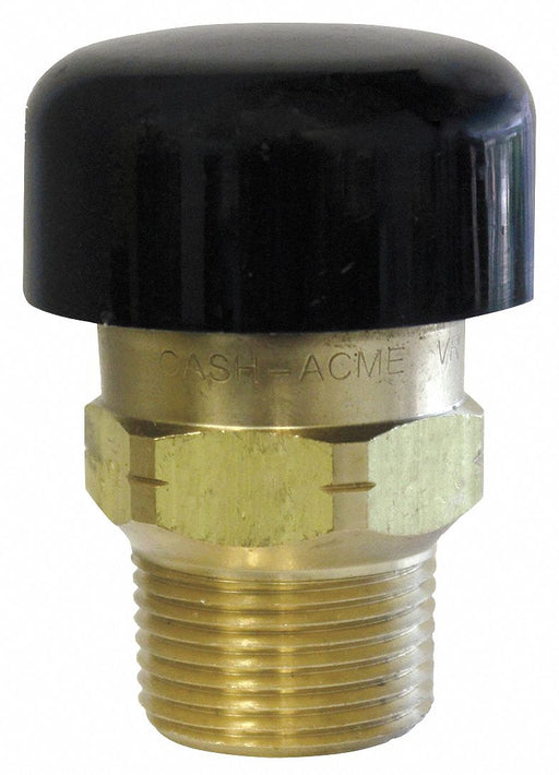 Vacuum Relief Valve 3/4in MNPT 125 psi