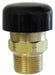 Vacuum Relief Valve 3/4in MNPT 125 psi