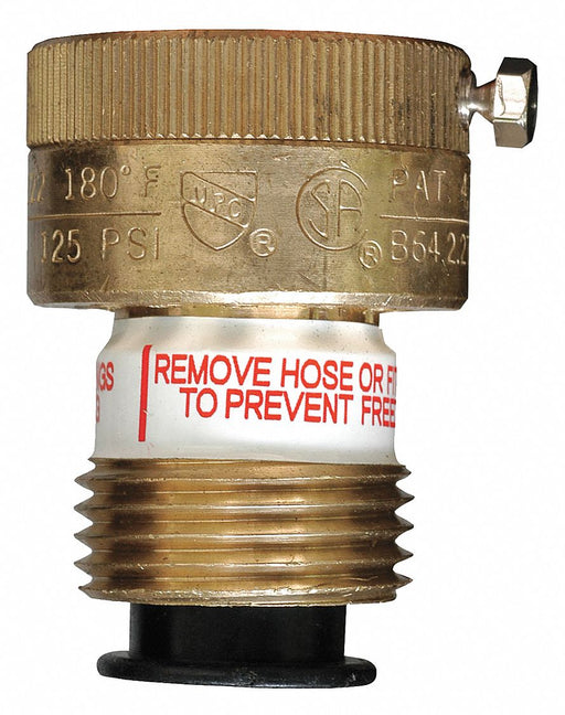 Vacuum Breaker 3/4in. GHT Brass 2in. H