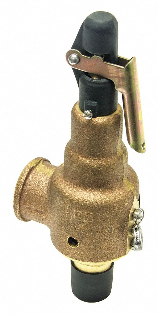 Safety Relief Valve 1in.x1-1/4in. 100psi