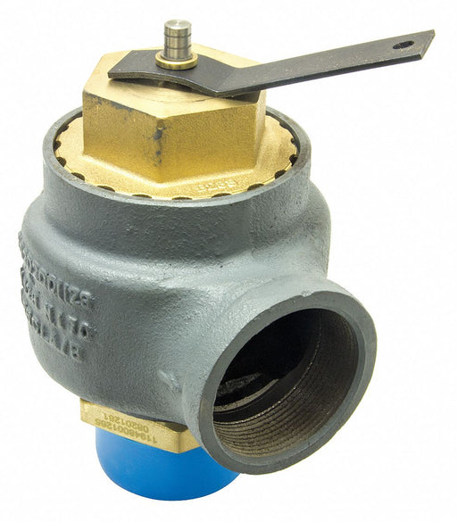 Safety Relief Valve 2-1/2in.x2-1/2in.