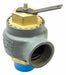 Safety Relief Valve 2-1/2in.x2-1/2in.