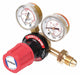 RADNOR Gas Regulator