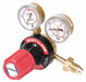 RADNOR Gas Regulator