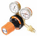 RADNOR Gas Regulator