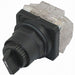 SelectorSwitch Non-Illum 2Pos 30mm Black