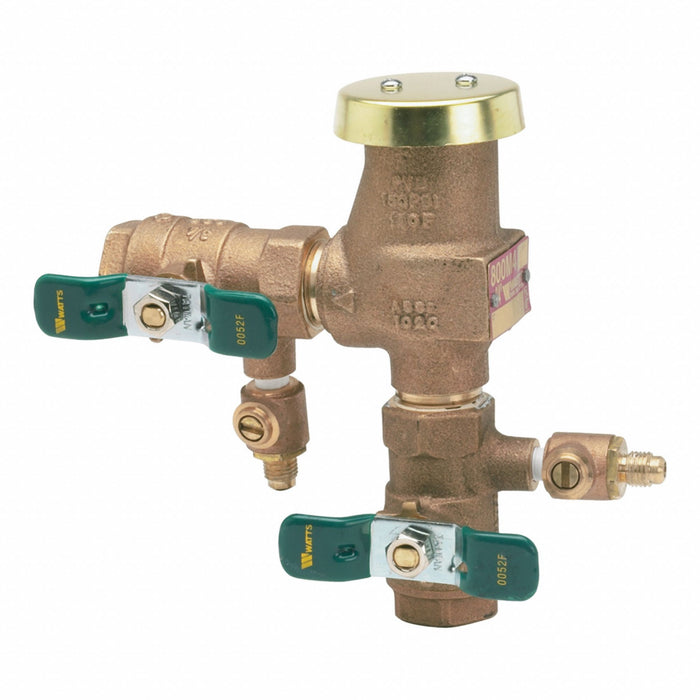 Freeze Resistant Vacuum Breaker 6-1/4inH