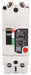 Circuit Breaker 30A 2P TEY 277/480VAC