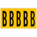 Letter Label Vinyl 5 in H 1-3/4 in W