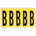 Letter Label Vinyl 5 in H 1-3/4 in W