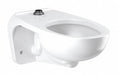 Toilet Bowl Elongated Wall Flush Valve
