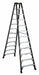 Twin Stepladder Fbrgls IA 12ft DXL3030