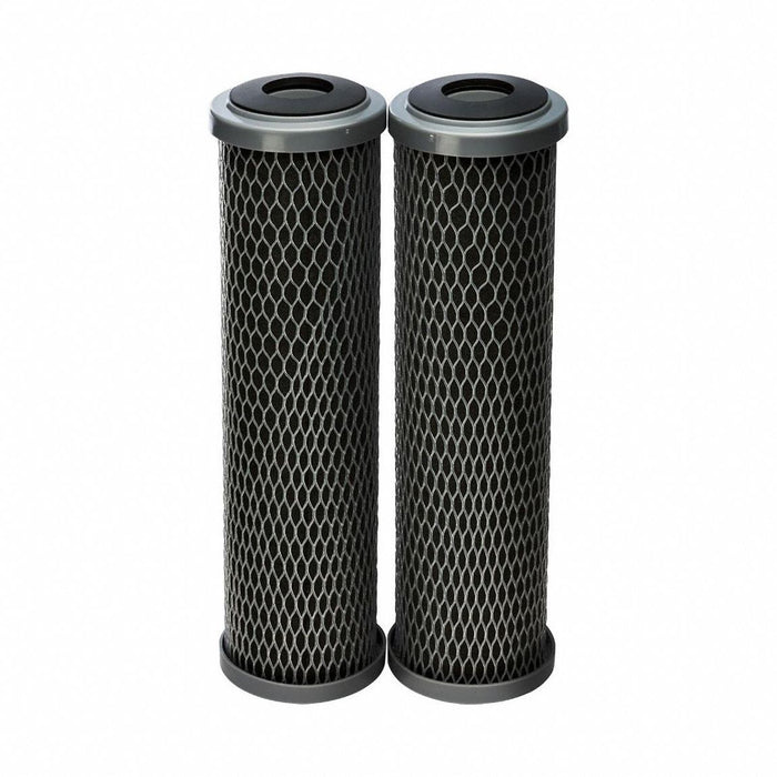 Quick-ConnectFilter 4gpm 21/2inDia PK2