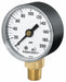 Gauge Pressure 2in ABS