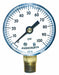 Gauge Pressure 0 to 100 psi 2 in.