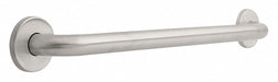 Grab Bar SS Satin 24 in L