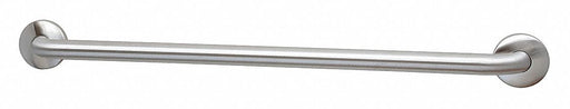 Grab Bar SS Satin 24 in L