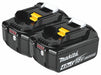 Battery Pack (2) 4.0 Ah Li-Ion PK2