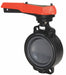 Butterfly Valve PVC 4 In