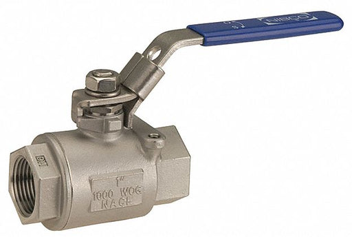 Manual 2-Way Ball Valve NPT SS