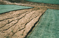 Erosion Control Blanket 8 x 112.5 ft.