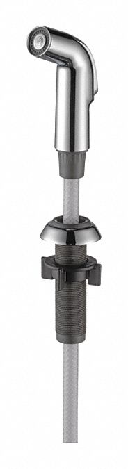 Spray Hose And Diverter Assembly