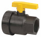 Manual 2-Way Ball Valve NPT Polypro