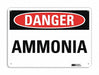 Danger Sign 7 in x 10 in Aluminum