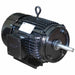 Motor 15 hp 230/460V AC 3 Phase