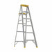 Stepladder Aluminum 6 ft H 225 lb Cap.