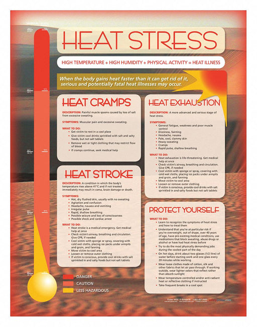 Safety Poster 22 in x 17 in Paper