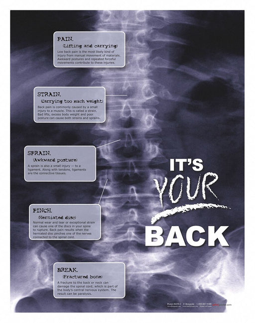 Safety Poster 22 in x 17 in Paper
