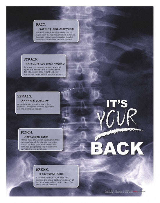 Safety Poster 22 in x 17 in Paper