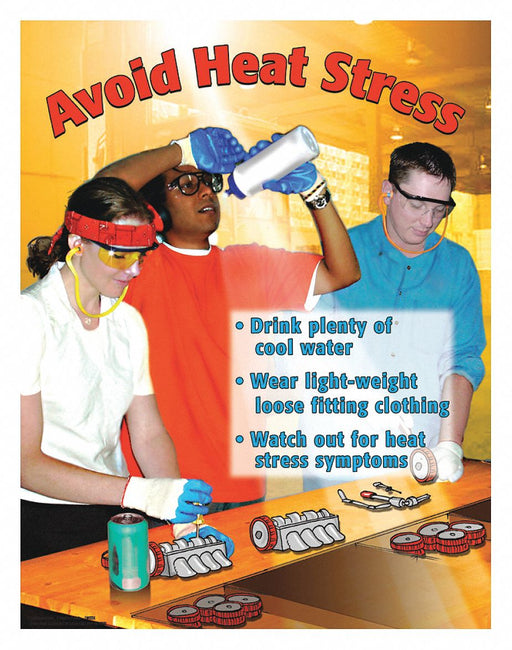 Safety Poster 22 in x 17 in Paper