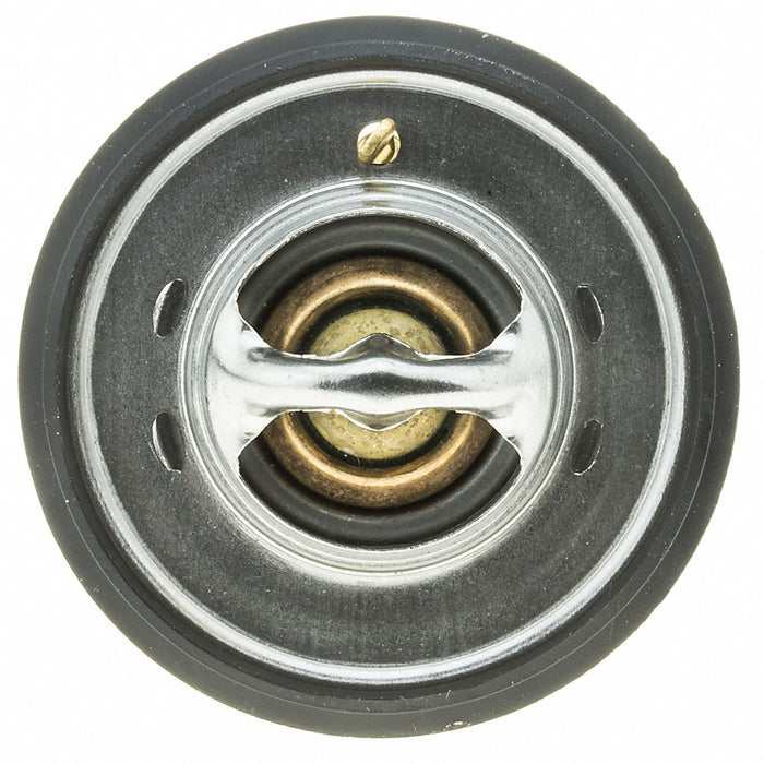 Thermostat 195 Deg F