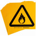 Label PS Vinyl 8inHx8inW Flam Mat PK10
