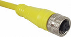 Cordset 3 Pin Receptacle Female