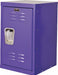 Lckr 1x1Lckr Purple 24 x15 x15 UnAssm