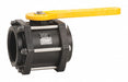 Manual 2-Way Ball Valve NPT Polypro