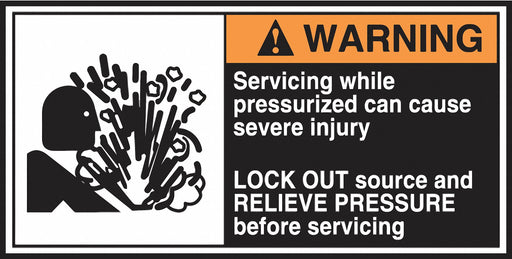 CEMA Label 2 1/2 in x 5 in Vinyl PK5